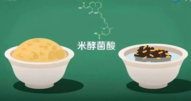 【食安科普】夏日炎炎，警惕濕米粉、木耳中的米酵菌酸毒素中毒