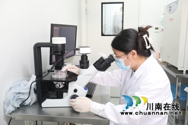 龍馬潭：讓細胞從“實驗室”走向“生產(chǎn)線”