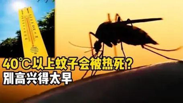 【警惕】你有多久沒被蚊子咬了？蚊子都熱死了嗎？