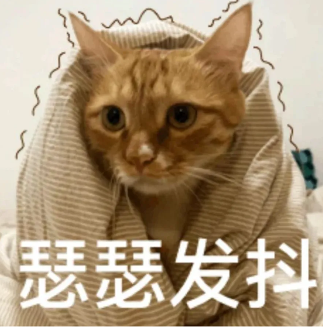 微信圖片_20240905093655.png
