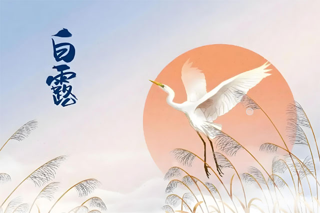 【杏林學(xué)堂】白露時節(jié)，養(yǎng)生要“三忌、三宜”