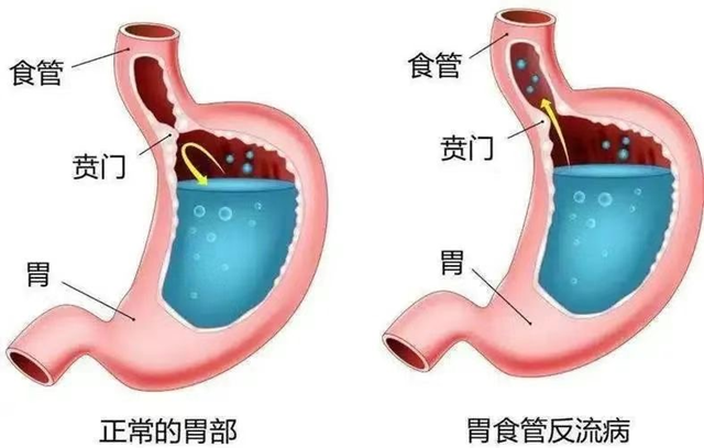 微信圖片_20240912085630.png