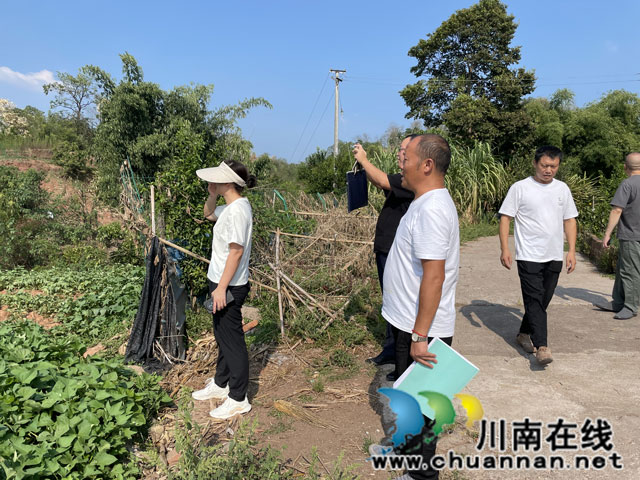 節(jié)前敲警鐘  安全不放松┃江陽區(qū)自然資源和規(guī)劃分局開展節(jié)前儲備土地安全督查工作