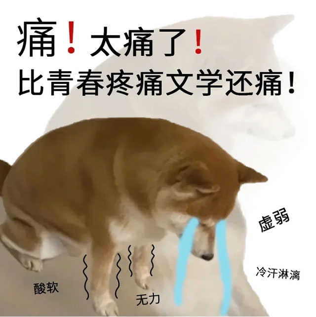 非?！把住敝?，“胰”防萬一：揭秘胰腺炎