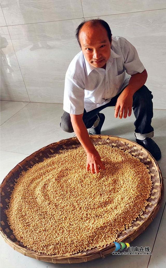 圖1：蔣志芳介紹選用的黃豆粒粒飽滿.jpg