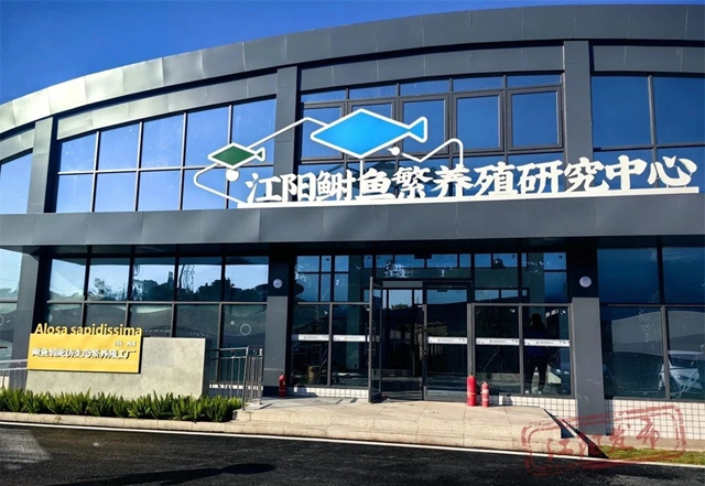 江陽區(qū)鰣魚全產(chǎn)業(yè)鏈項目正式投運