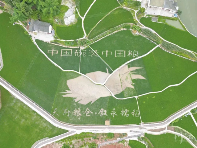 全國市州唯一入選案例！瀘州！