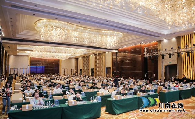 比賽現(xiàn)場2.jpg
