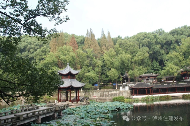 可搭帳篷露營！瀘州這些公園綠地開放共享，位置就在→