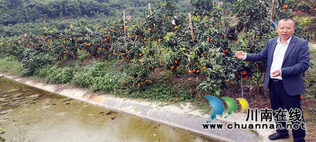 圖1：李強介紹果魚共生好處.jpg