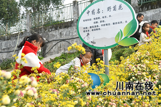 采摘現(xiàn)場-(2).jpg