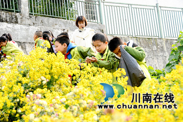 采摘現(xiàn)場-(3).jpg
