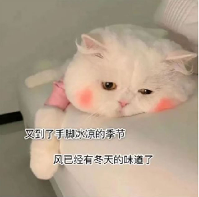 【擴散】怕冷，手腳冰冷，吃點涼的就拉肚子的看過來！