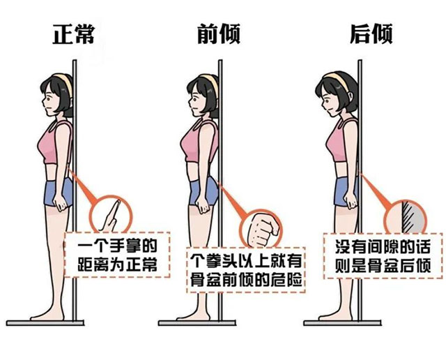 【健康科普】腰不好？煉幾塊腹肌試試……