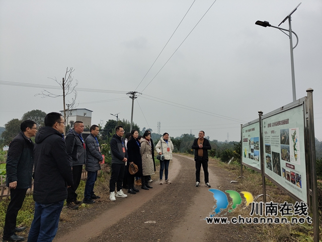 龍馬潭區(qū)魚塘街道：攜手代表委員 共筑民生關(guān)切之橋