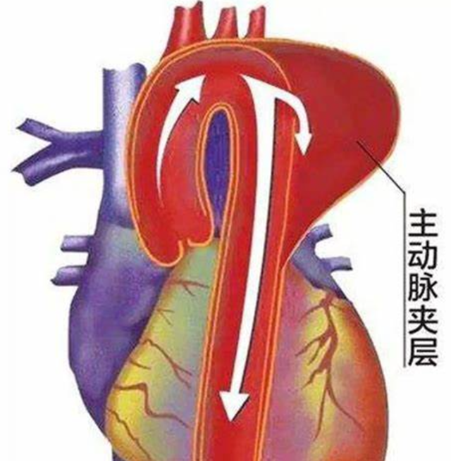 動(dòng)1.png