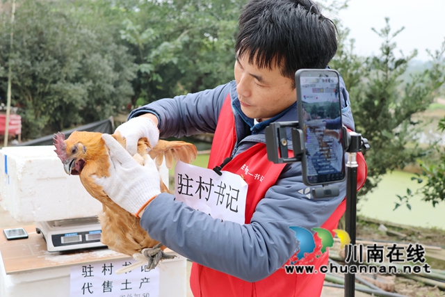 瀘縣立石鎮(zhèn)：直播帶貨助增收 共同奔赴致富路