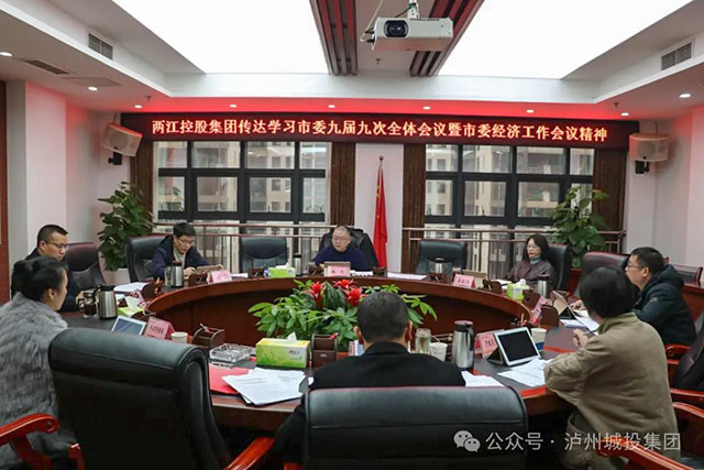 兩江控股集團傳達學習市委九屆九次全會暨市委經濟工作會議精神