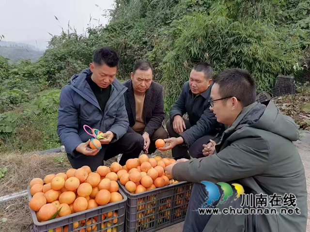 情系家鄉(xiāng) 振興鄉(xiāng)村｜瀘縣退役軍人朱上友返鄉(xiāng)創(chuàng)業(yè)帶動村民增收致富