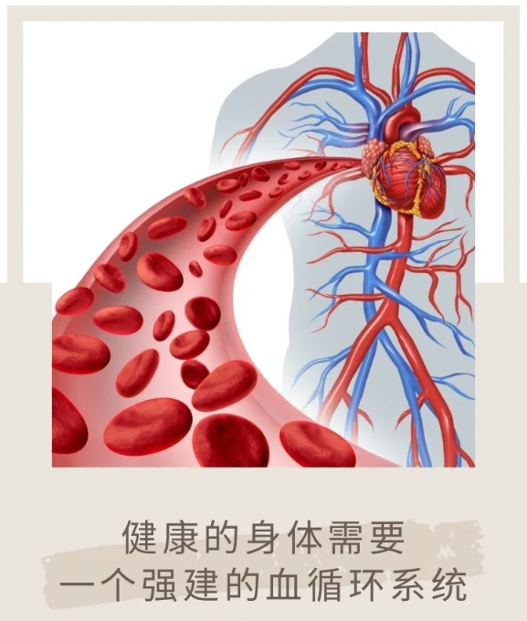 科普】血液一變臟，人就廢一半！這些血液病，真心希望您沒(méi)有！