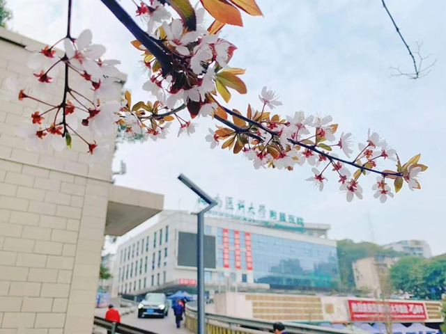 招人啦！西南醫(yī)大附院2025年第二輪人才招聘簡章