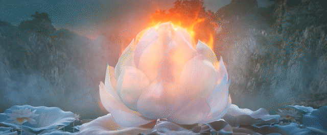 13.gif