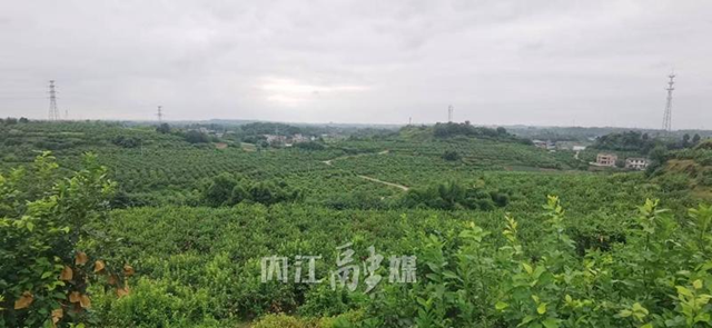 喜報！內江首個！