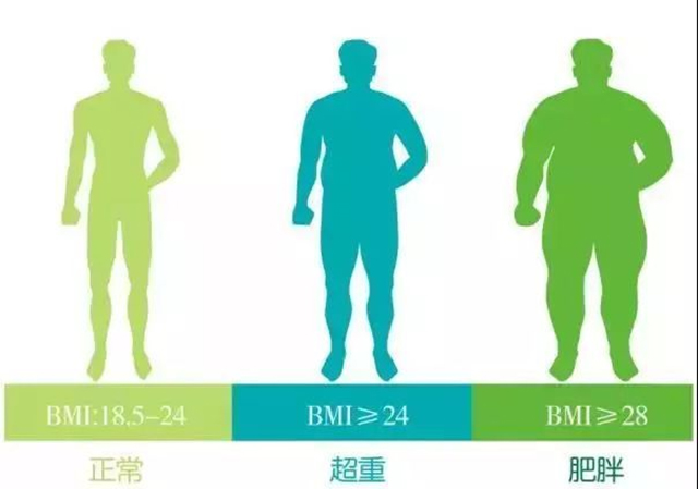 【擴散】30人！西南醫(yī)大中醫(yī)院“中醫(yī)減重營”招人啦