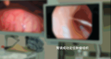 3.gif