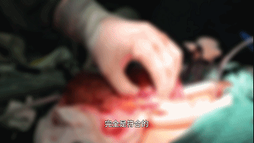 4.gif