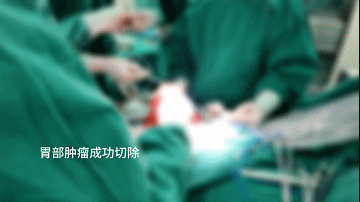 6.gif