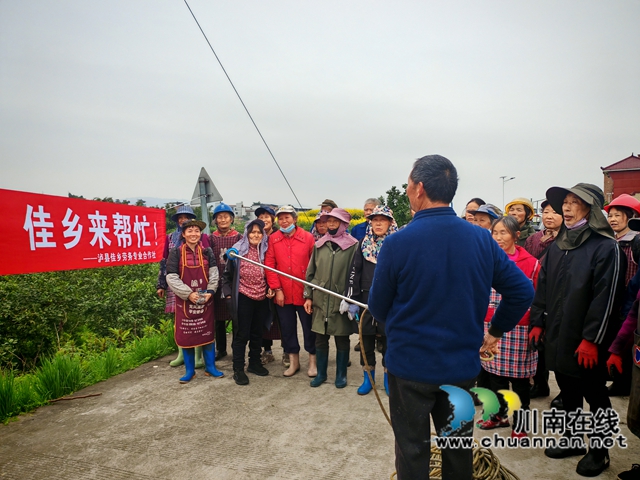 3月13日，瀘縣佳鄉(xiāng)勞務(wù)專合社勞務(wù)經(jīng)紀(jì)人彭麗邀請(qǐng)嘉明鎮(zhèn)農(nóng)技人員到瀘縣金明農(nóng)業(yè)發(fā)展專業(yè)合作社檸檬基地開展果樹病蟲害防治培訓(xùn)。.jpg