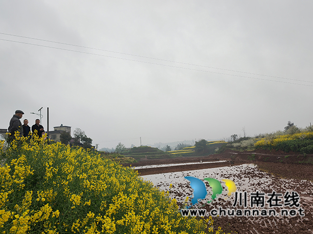 參觀以工代賑工程（曾佐然攝）.jpg