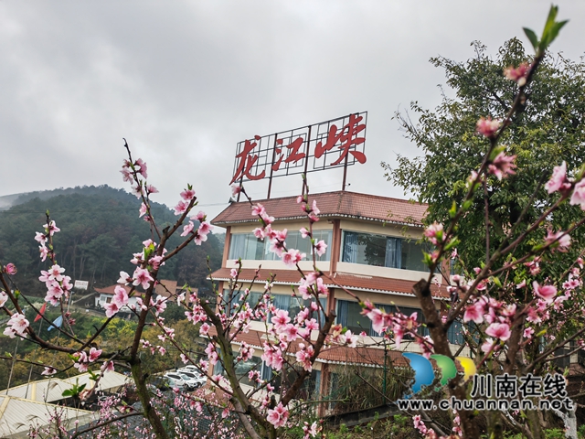 綠海涌潮河　詩(shī)韻龍江峽｜瀘縣潮河鎮(zhèn)：龍江峽桃花詩(shī)會(huì)撬動(dòng)花經(jīng)濟(jì)