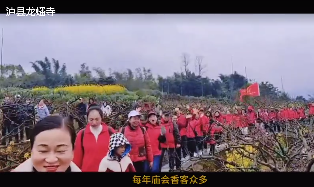 龍?bào)此沦x