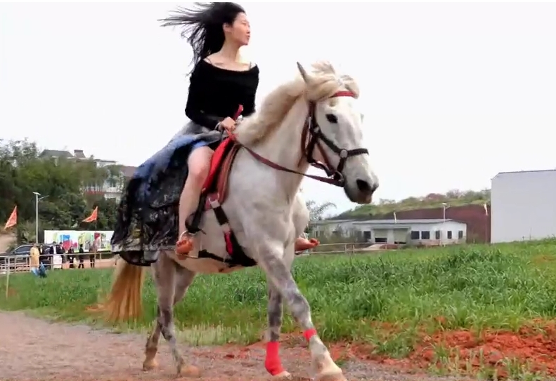 騎白馬的不一定是王子，但一定是納溪上馬鎮(zhèn)的鎮(zhèn)長，好帥～