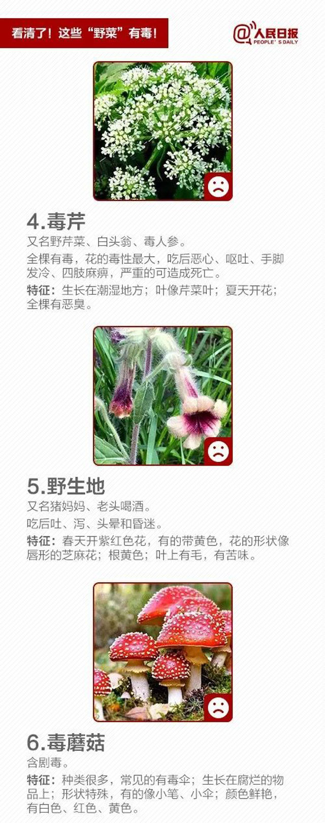 10005-(2).jpg