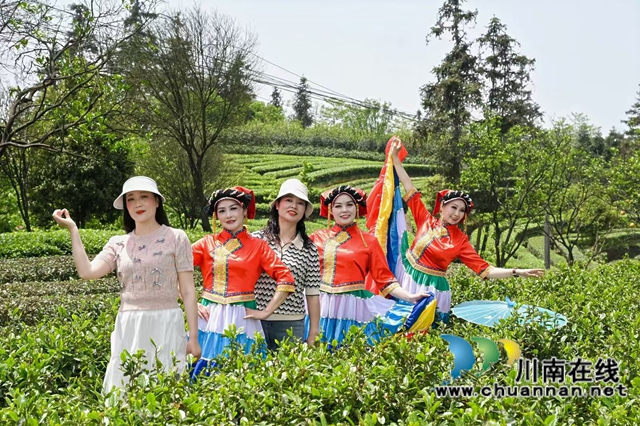 以茶為軸 納溪區(qū)這場(chǎng)展演活動(dòng)“茶香四溢”