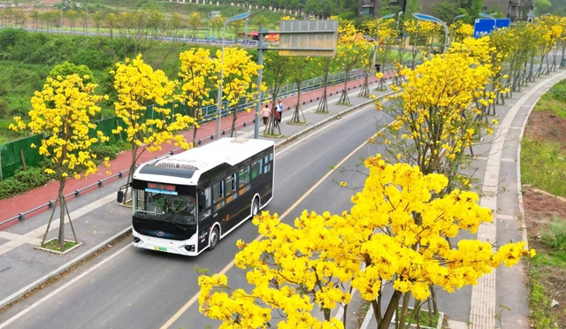 黃花1.jpg