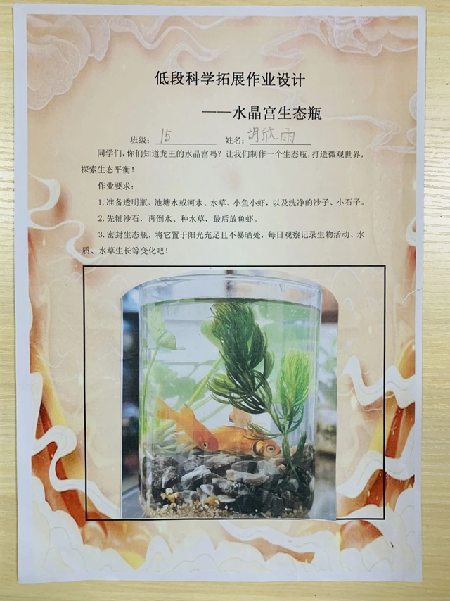 333_副本.jpg