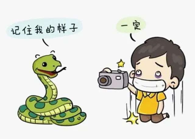毒蛇咬傷，這幾件事可千萬別做！
