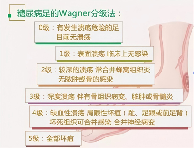 圖片2.jpg