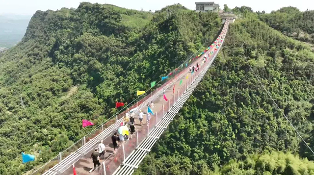 蜂蜜瀏覽器_12.jpg