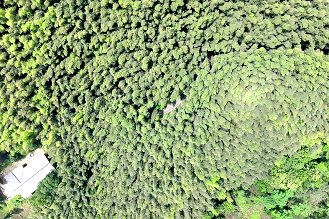 640-(22).jpg