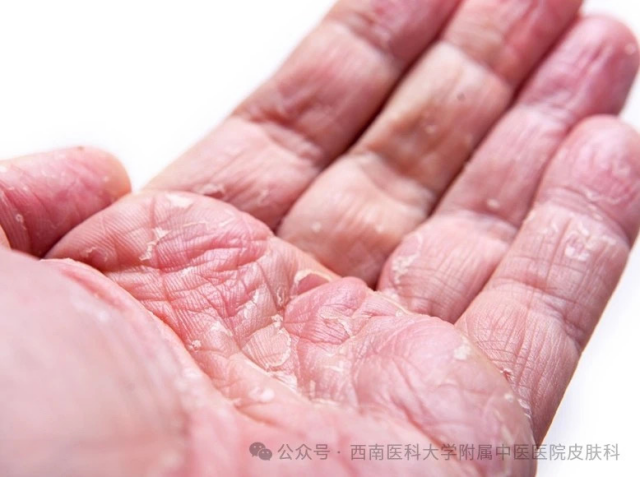 222_副本.png