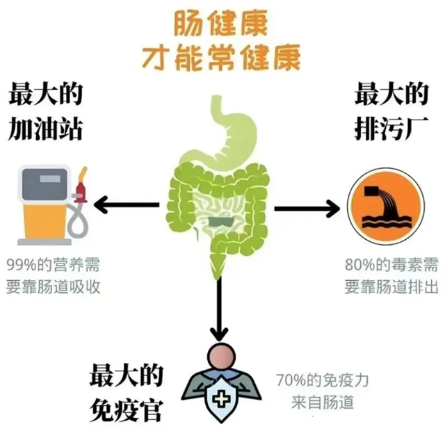 腸道不干凈，渾身都是病→