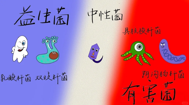 腸4.jpg