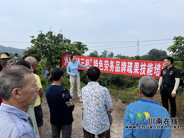 武萬瓊在瀘縣太伏鎮(zhèn)組織開展疏果技能培訓(xùn).jpg