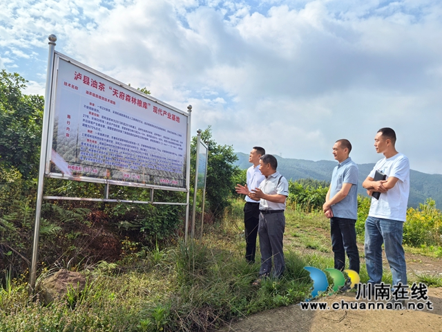 瀘縣農(nóng)民工服務(wù)中心、瀘縣福集鎮(zhèn)干部調(diào)研油茶基地.jpg