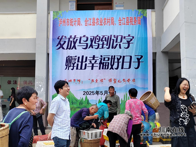 瀘州市統(tǒng)計局：送雞苗技術(shù)拓銷路，興烏雞產(chǎn)業(yè)促振興